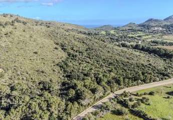 472764-Vorschaubild2