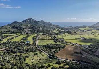 472764-Vorschaubild4