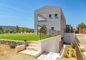 472887-Vorschaubild4