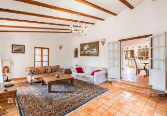 473086-Vorschaubild2