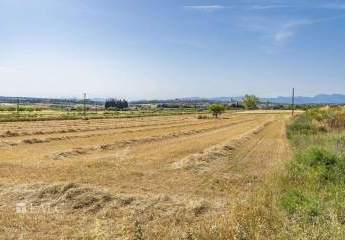 473091-Vorschaubild3