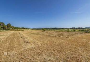 473091-Vorschaubild4