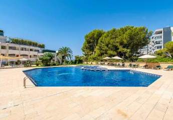 473095-Vorschaubild2