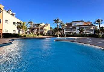 473191-Vorschaubild2