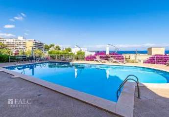 473196-Vorschaubild2