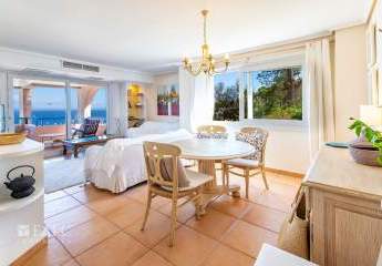 473196-Vorschaubild3