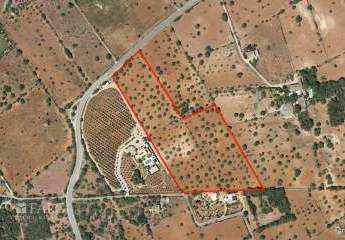 473207-Vorschaubild2