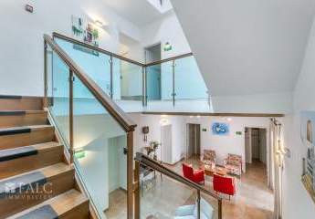 473214-Vorschaubild3