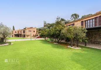 473468-Vorschaubild3