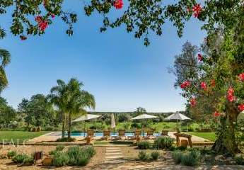 470281-Vorschaubild2