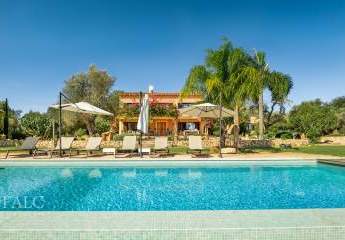 470281-Vorschaubild4