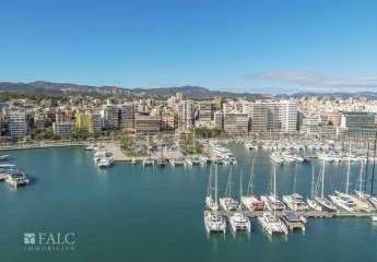 474036-Vorschaubild2