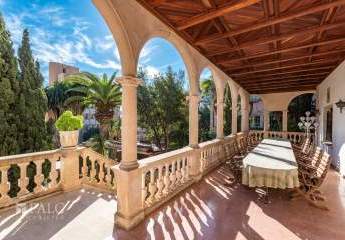 474151-Vorschaubild2