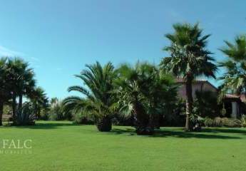 474164-Vorschaubild2