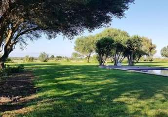 474164-Vorschaubild3