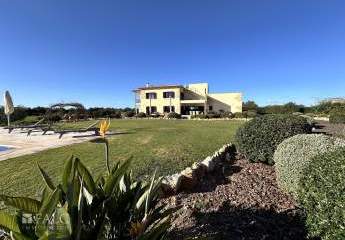 474177-Vorschaubild2