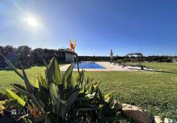 474177-Vorschaubild3