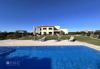 474177-Vorschaubild4