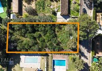 474224-Vorschaubild2