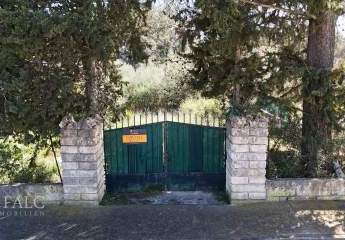 474224-Vorschaubild3