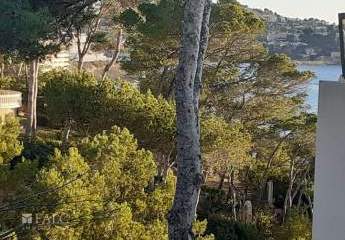 474419-Vorschaubild3