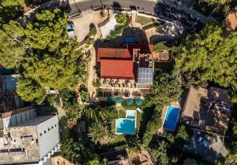 474434-Vorschaubild4