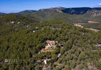 474435-Vorschaubild3