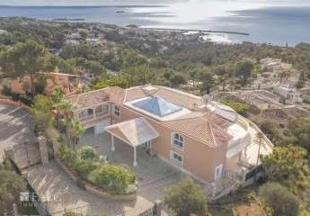 474438-Vorschaubild2