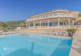 474438-Vorschaubild3