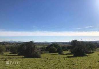 474781-Vorschaubild3