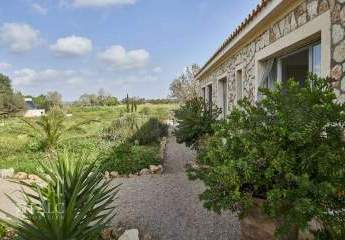 474805-Vorschaubild4