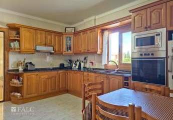 471726-Vorschaubild3