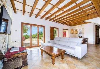 475020-Vorschaubild4