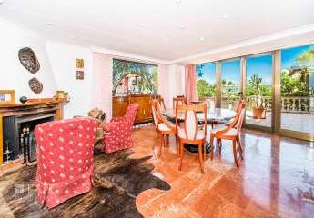 475023-Vorschaubild3