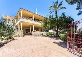 475026-Vorschaubild3