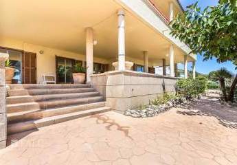 475026-Vorschaubild4