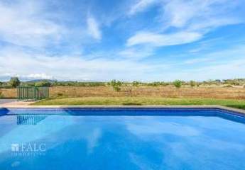 475029-Vorschaubild2