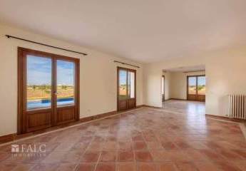 475029-Vorschaubild4