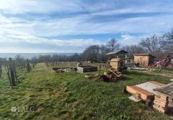 475210-Vorschaubild3