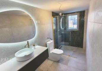 475212-Vorschaubild4