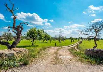 475224-Vorschaubild2