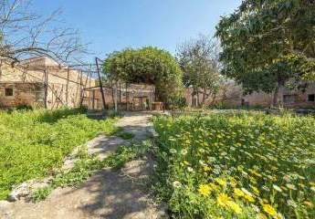 475224-Vorschaubild3