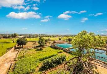 475224-Vorschaubild4