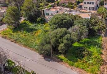 475225-Vorschaubild2