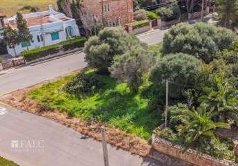 475225-Vorschaubild4