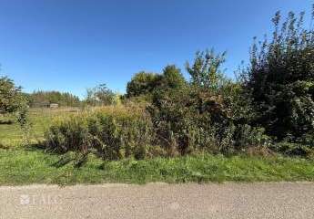 475226-Vorschaubild2