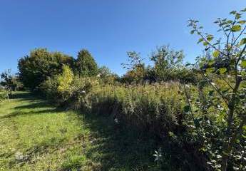 475226-Vorschaubild3