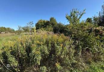 475226-Vorschaubild4