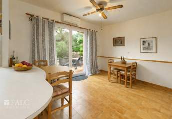 475228-Vorschaubild2