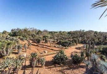 475229-Vorschaubild2